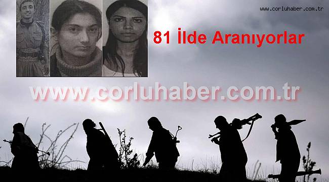 3 Canlı Bomba 81 İlde Aranıyor