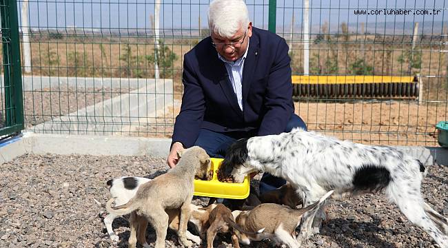 Ergene'de ‘4 Ekim Hayvanları Koruma Günü’, Düzenlenen Etkinlikle Kutlandı