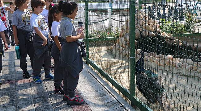 Hayvanları Koruma Günü´nde Hayvanat Bahçesine Ziyaret