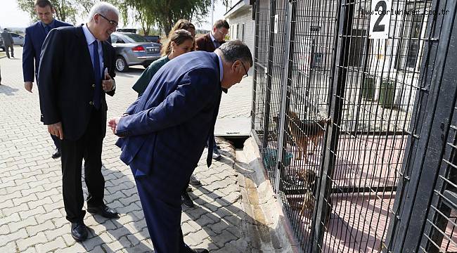 Hayvanları Koruma Gününde Hayvanları Ziyaret Ettiler