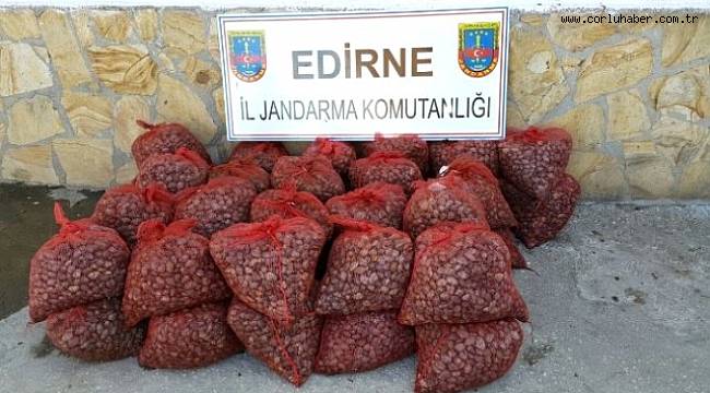 Tonlarca Kaçak Midye Ele Geçirildi