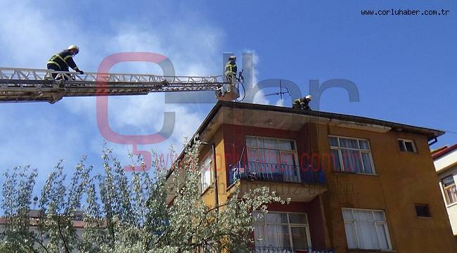 Bacada Çıkan Yangın Korkuttu