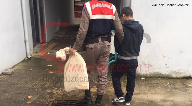 Bahçeye Hint Keneviri eken şahıs tutuklandı