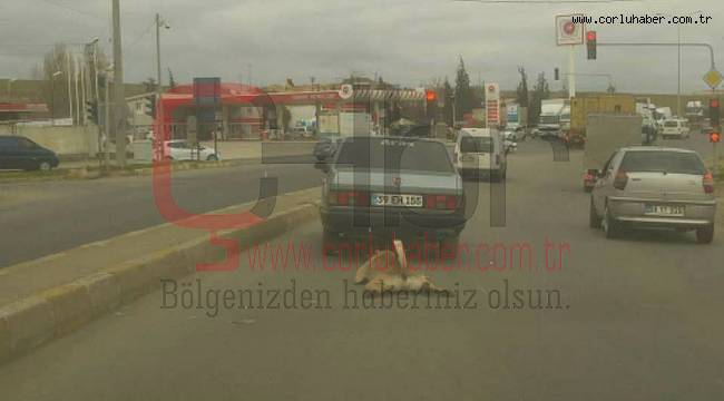 Köpeği Otomobile Bağlayıp Metrelerce Sürükledi