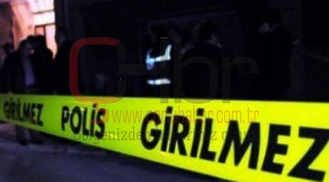 Pompalı Tüfekle Ev ve İş Yerine Ateş Açıldı