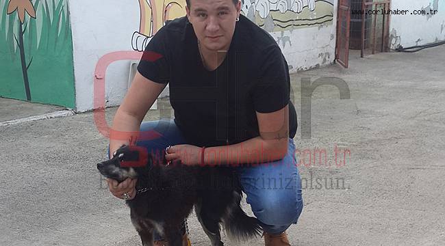 Barınağımızın Maskotu Fındık Sahiplendirildi