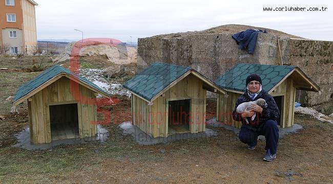 Can Dostlarımızı Ev Sahibi Yapıyoruz