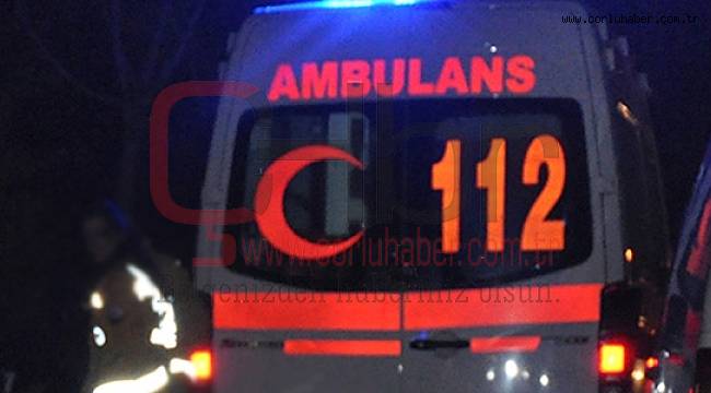 Otomobil Tıra Çarptı, 1 Yaralı