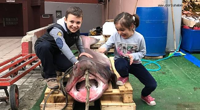 Tekirdağ Açıklarında 2 Köpek Balığı Yakalandı
