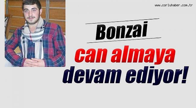 Yine Bonzai Yine Ölüm