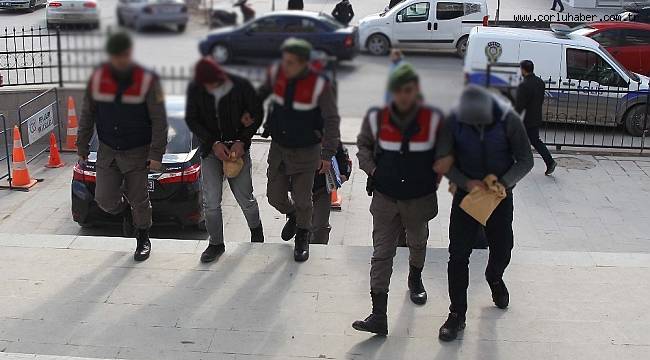 Jandarmadan Terör Örgütü Üyelerine Operasyon