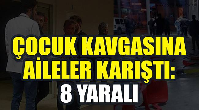 Çocuk Kavgasına Aileler Karıştı, 8 Yaralı