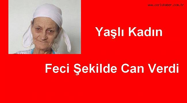 Kamyonetin Altında Kalarak Feci Şekilde Can Verdi
