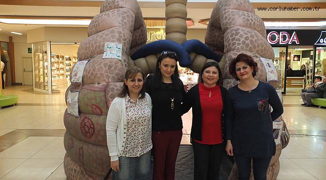 ‘Koca Ciğer’ Maketi İle Farkındalık Yarattılar