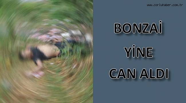 Bonzai Yine Öldürdü