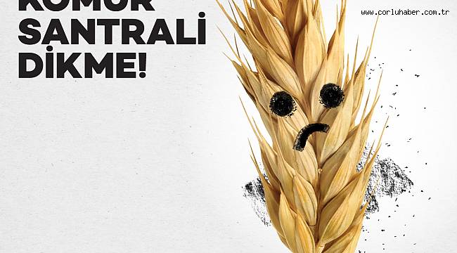 “BUĞDAYI ÜZME” !Kömür Santrali Dikme!