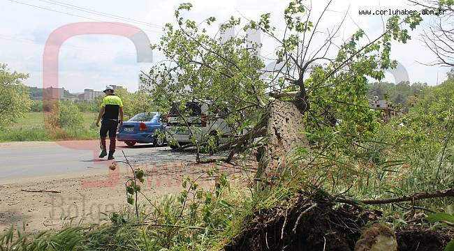 Seyir Halindeki Otomobilin Üzerine Ağaç Devrildi