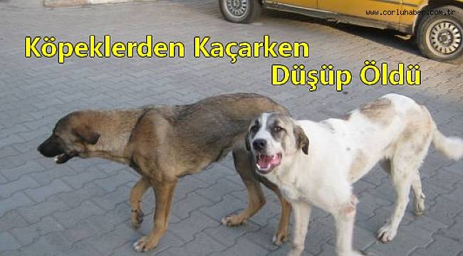 Köpeklerden Kaçarken Düşüp Öldü