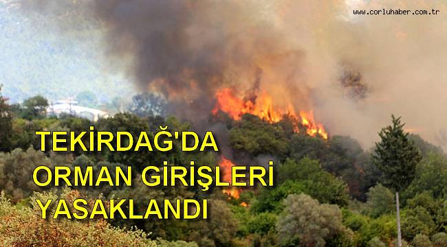 Tekirdağ’da Ormanlara Giriş Yasaklandı