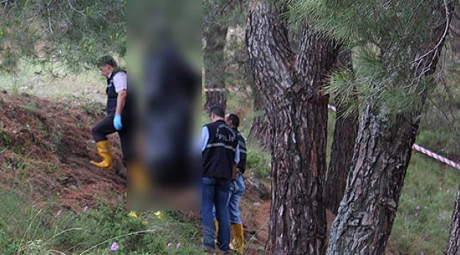 Ormanlık Alanda Ağaca Asılı Bulundu