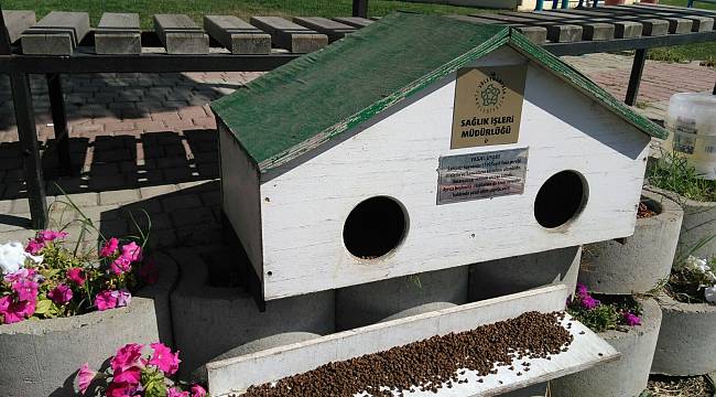 Minik Dostlarımız İçin Günlük Mama Desteği Süleymanpaşa Belediyesi’nden