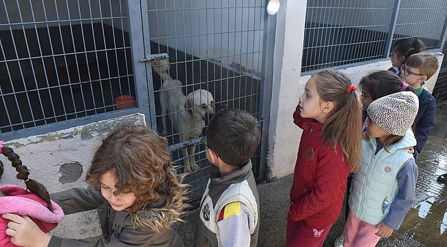 Öğrenciler Hayvan Bakımevimizi Ziyaret Etti