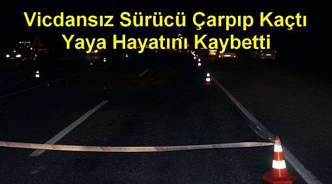Vicdansız Sürücü Yayaya Çarpıp Kaçtı, 1 Ölü