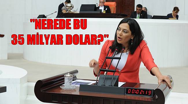 Yüceer, "Nerede Bu 35 Milyar Dolar?"