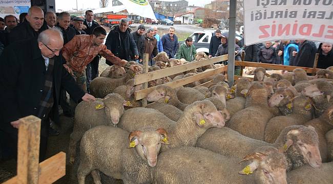 Tekirdağ Büyükşehir Belediyesi'nden Hayvancılığa Büyük Destek