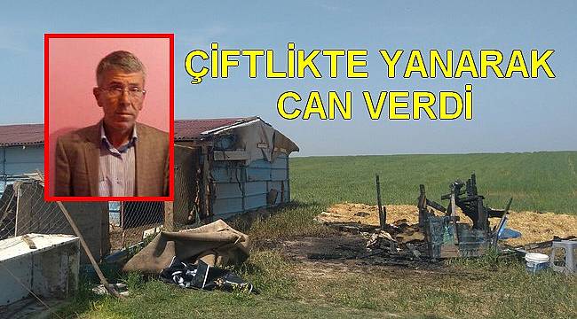 Çiftlikte Yanarak Can Verdi