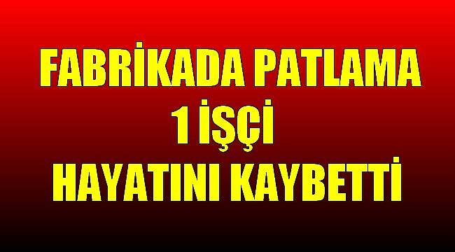 Fabrikada Patlama, 1 Ölü