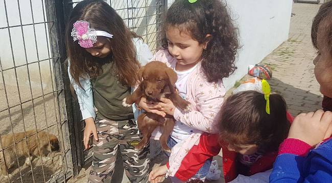 Minik Öğrenciler Sokak Hayvanları İle Buluştu