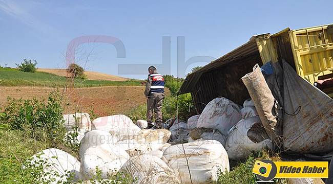 25 Ton Mısır Silajı Tarlaya Saçıldı