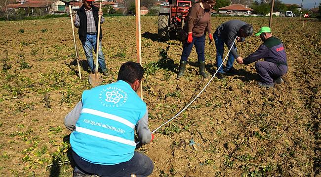 Kiraz Bahçesi Projesi Hayata Geçirildi