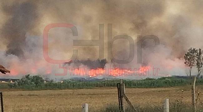 Yıldırım Düşen Tarlada 200 Dönüm Alan Kül Oldu