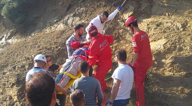 Paraşütçü Ağaçlık Alana Çakıldı