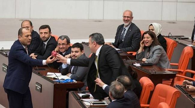 CHP'li Aygun Meclise Damga Vurdu