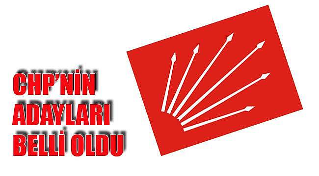 CHP'nin Büyükşehir Adayı Belli Oldu