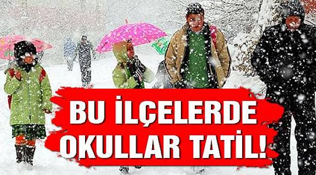 Bu İlçelerde Yarın Okullar Tatil