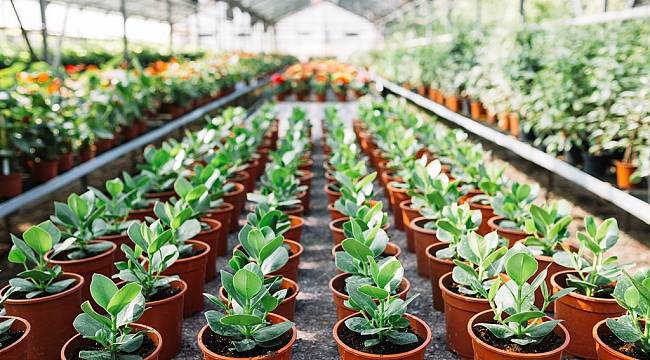 Bu Projeyle Çiftçinin Yüzü Gülecek