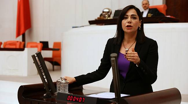 Kadın Konuk Evindeki Fotoğrafı Bakana Sordu