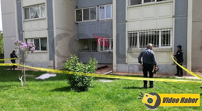15. Kattan Düşerek Hayatını Kaybetti
