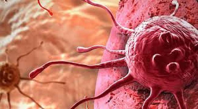 Kansere Yakalanan Minik Adem Yardımlarınızı Bekliyor
