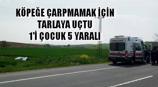 Köpeğe Çarpmamak İçin Tarlaya Uçtu , 1'i Çocuk 5 Yaralı