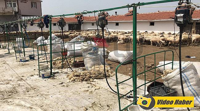 Öğrencilerin Gözü Önünde Elektrik Akımına Kapıldılar, 1 Ölü 1 Yaralı