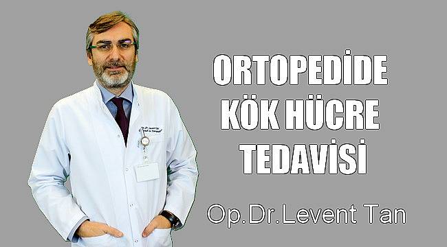 Ortopedide Kök Hücre Tedavisi Hakkında Bilgiler