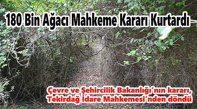 180 Bin Ağacın Kesilmesine Mahkemeden RET