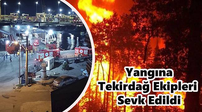 Marmara Adası'nda Yangın, Tekirdağ'dan Ekipler Sevk Edildi