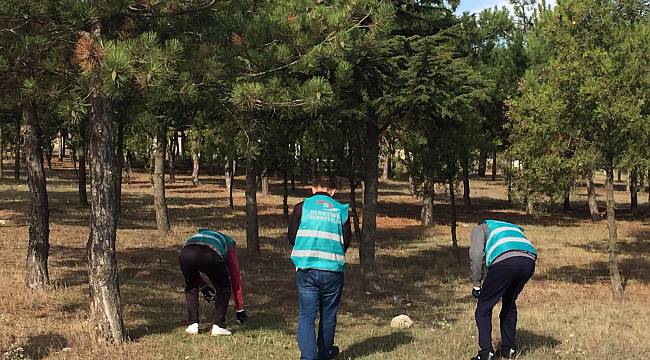 Temiz Çevre Çalışmaları Sürüyor