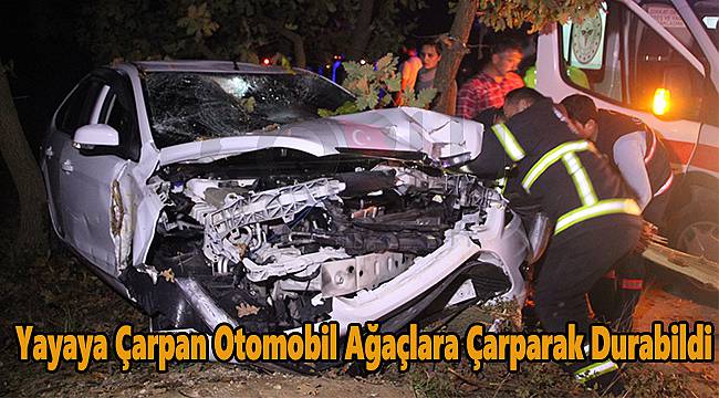 Yayaya Çarpan Otomobil Ağaçlara Çarparak Durabildi